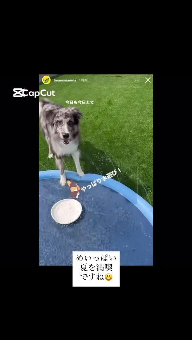 9月に入りましたが毎日暑いですね。